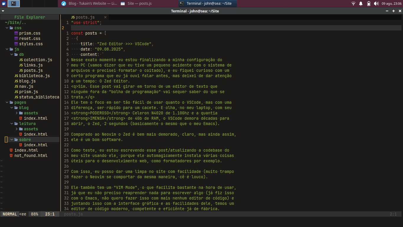 Screenshot do meu Neovim